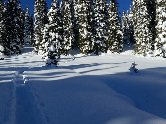 Skitour am Rossbrand | © Monika Najand-Ellmer