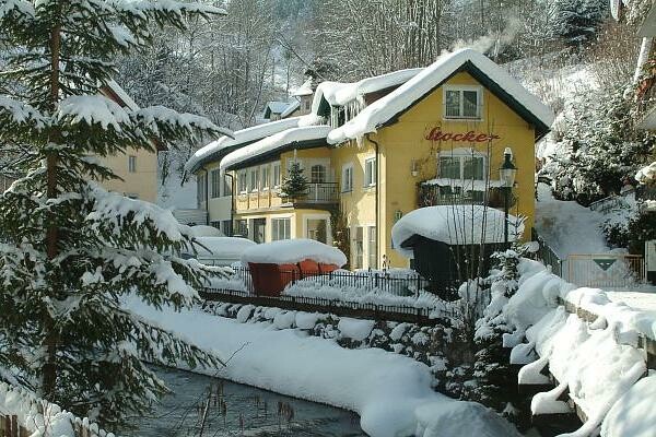 Appartements zur Schmiede - Stocker