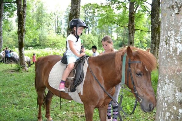 Gästehaus Aigner - Pony Western Tour