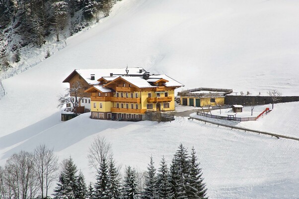 Pfandlinghof during winter