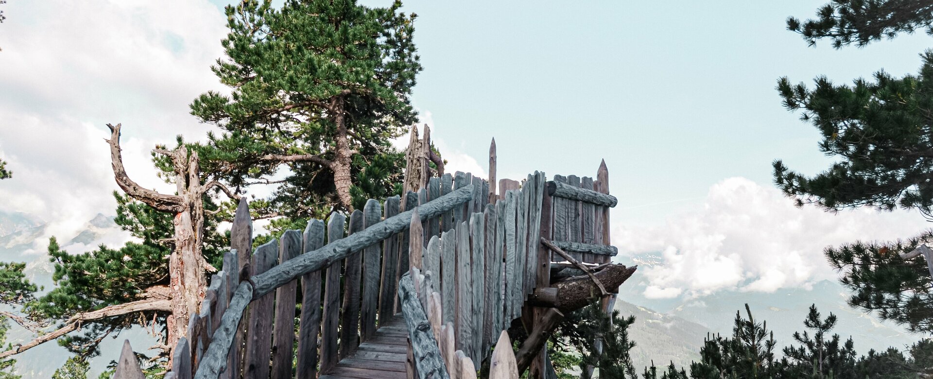 Weg aus Holz zu einem Aussichtspunkt inmitten von Bäumen